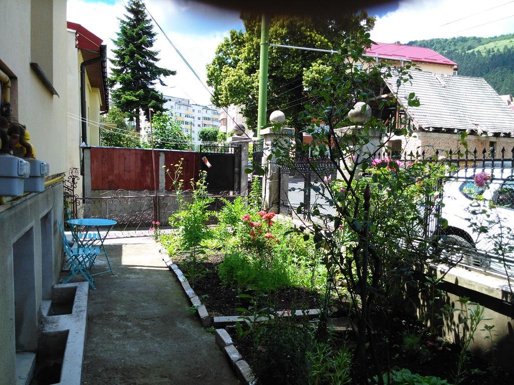 Apartament Nora Brassó Kültér fotó